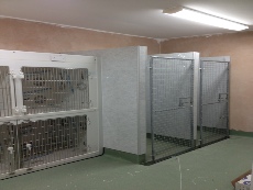Plaztek Veterinary Cages